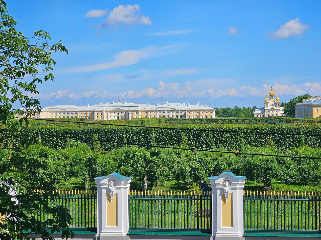 Гостиница Самсон Петергоф-126